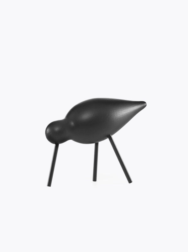Shorebird black